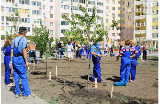 Благоустройство и озеленение - Ландшафтный дизайн в Севастополе