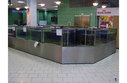 Торговые аквариумы для живой рыбы - Продажа в Севастополе