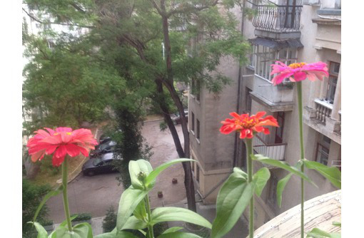 Крупногабаритная квартира в центре - Аренда квартир в Севастополе