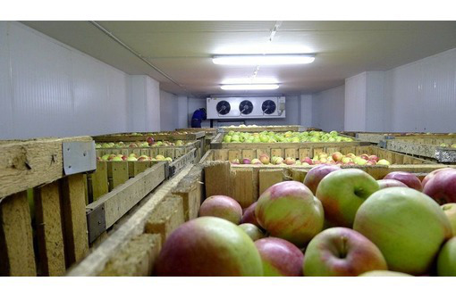 Холодильные Камеры для Фруктов Овощей Зелени. - Продажа в Симферополе