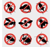 Полное выведение тараканов, грызунов, дезинфекция против вируса, грибка плесени и т.д - Клининговые услуги в Судаке