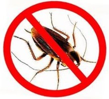 Дезинсекция. Уничтожение  насекомых на любых объектах - Услуги по недвижимости в Севастополе