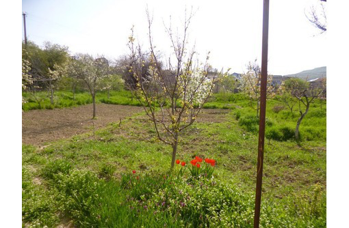 Продам дом у реки с большим участком и фруктовым садом  в с.Фурмановка Бахчисарайского района - Дома в Бахчисарае
