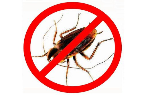 Уничтожение насекомых и грызунов - Клининговые услуги в Севастополе