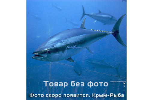Рыба оптом, Севастополь, доставка по Крыму - Продукты питания в Севастополе