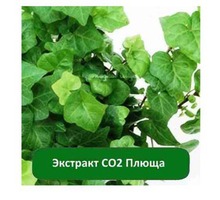 Купить Экстракт СО2 Плюща - Косметика, парфюмерия в Крыму