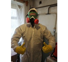 Уничтожение тараканов , клопов и других насекомых! - Клининговые услуги в Крыму
