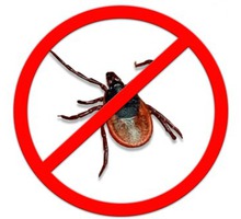 Обработка от комаров, клещей, тараканов и других насекомых! Эффект 100%! - Клининговые услуги в Белогорске