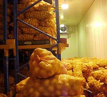 Холодильная камера для лука в Крыму. Проектирование, сборка, монтаж холодильного оборудования - Продажа в Красногвардейском