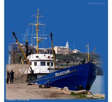 Рыба и морепродукты оптом с доставкой - Продукты питания в Крыму