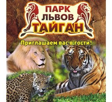 Активный отдых в Крыму – парк львов «Тайган», незабываемые впечатления от общения с дикой природой! - Отдых, туризм в Симферополе
