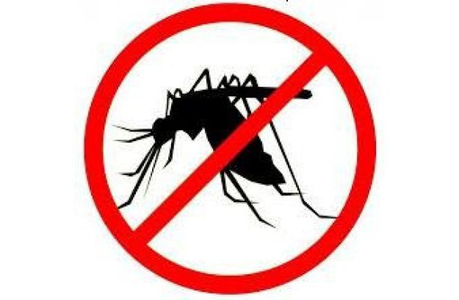 Борьба с комарами со 100% эффектом! Гарантии! Необходимый пакет документов! - Клининговые услуги в Ялте