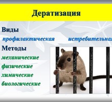 100% уничтожение грызунов любых видов ( крысы, мыши, полевки и т.п.) Средства безопасны для здоровья - Клининговые услуги в Крыму