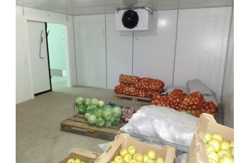 Холодильная камера для хранения овощей: капусты, моркови, яблок, картофеля в Джанкое под ключ - Продажа в Джанкое