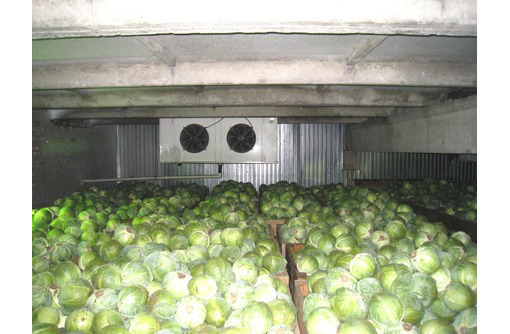 Холодильное Оборудование для Овощехранилища. Агрегаты "Bitzer" - Продажа в Джанкое
