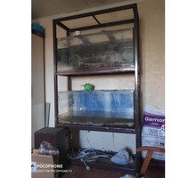 Продам стеллаж с двумя аквариумами - Аквариумные рыбки в Севастополе