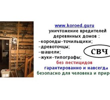 Уничтожение древоточцев, короеда, защита деревянного сруба без химии - Клининговые услуги в Севастополе