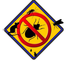 Уничтожение насекомых, борьба с грызунами, выведение плесени, озонация и дезодорация в Крыму - Клининговые услуги в Севастополе
