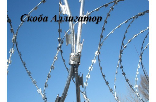 Продам колючую проволоку объемную СББ - Заборы, ворота в Севастополе