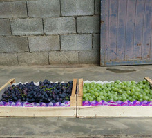 Ящики,лотки,упаковка  фруктов и овощей от производителя - Эко-продукты, фрукты, овощи в Красногвардейском