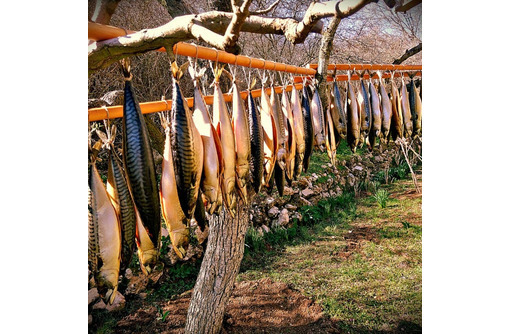 Натуральное домашнее копчение мяса и рыбы - Продукты питания в Севастополе