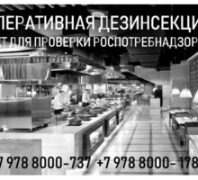Уничтожение тараканов, клопов, клещей-дезинсекция в Севастополе с гарантией - Клининговые услуги в Севастополе