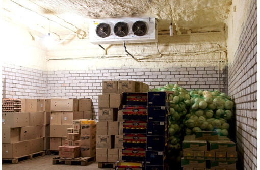Холодильные камеры для овощей и фруктов