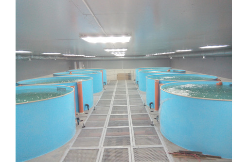 Бассейны для рыбы Агромаш интер - Сельхоз техника в Севастополе