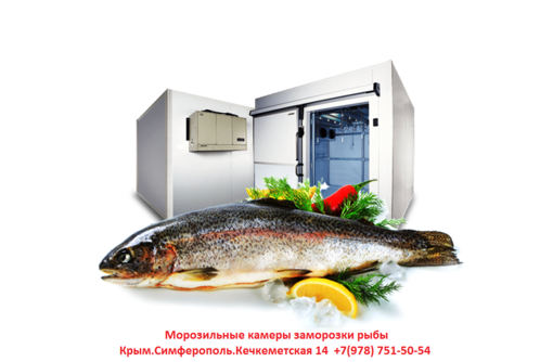 Промышленные Холодильные Камеры Камеры Заморозки - Продажа в Симферополе