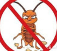 Профессиональное уничтожение насекомых Судак - Клининговые услуги в Судаке