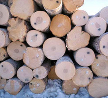 Продам лес кругляк хвойный и березовый - Пиломатериалы в Крыму