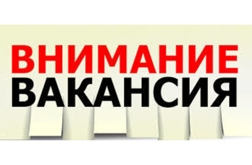 ​Требуется Графический дизайнер в компанию Добрыня-Дар - СМИ, полиграфия, маркетинг, дизайн в Севастополе