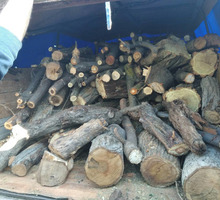Продам дрова неколотые фруктовые и акация - Твердое топливо в Севастополе