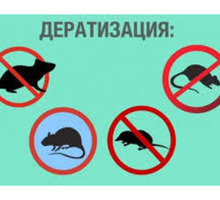 Дератизация. Полное уничтожение крыс, мышей, кротов и других грызунов - Клининговые услуги в Евпатории