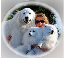 Ищу семейную пару для постоянной работы с собаками с проживаем в Спб - Сервис и быт / домашний персонал в Крыму