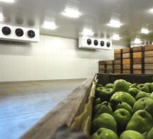Холодильные Установки для Длительного Хранения Овощей - Продажа в Симферополе