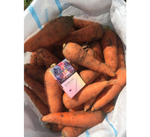 Морковь Абако - Эко-продукты, фрукты, овощи в Красногвардейском