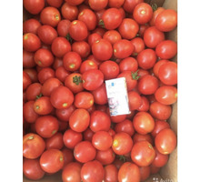 Продам Помидор Асвон (Аленка) - Эко-продукты, фрукты, овощи в Красногвардейском