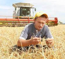 Предприятию на постоянную работу требуются:  - Комбайнер - Сельское хозяйство, агробизнес в Крыму