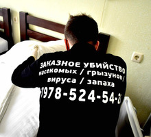 Дезинсекция (Дезинфекция ) Тараканов Клопов - Клининговые услуги в Крыму
