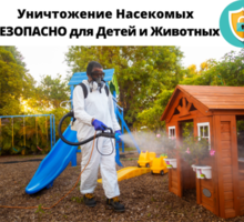 Уничтожение БЛОХ в Севастополе  с Гарантией - Клининговые услуги в Севастополе