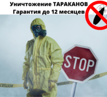 Уничтожение от тараканов с Гарантией - Клининговые услуги в Крыму