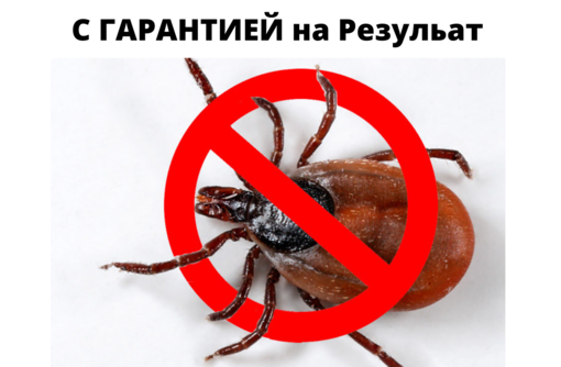 ​Уничтожение от тараканов с Гарантией ГУРЗУФ - Клининговые услуги в Гурзуфе