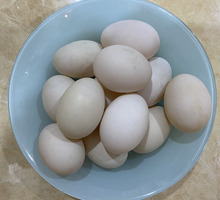 Домашние утиные яйца - Сельхоз животные в Феодосии