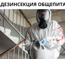 Обработка тараканов с гарантией до 1 года в Коктебели - Клининговые услуги в Крыму