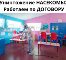 Уничтожение Блох С Гарантией в Саки - Клининговые услуги в Крыму