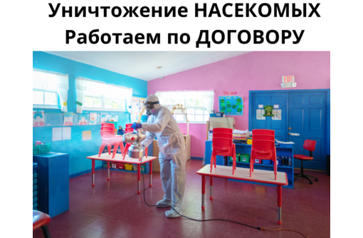 Служба по уничтожению тараканов в Приморском - Клининговые услуги в Приморском
