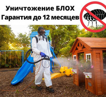 Уничтожение Блох С Гарантией в Приморском - Клининговые услуги в Крыму