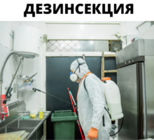 Дезинсекция в Приморском - Клининговые услуги в Крыму