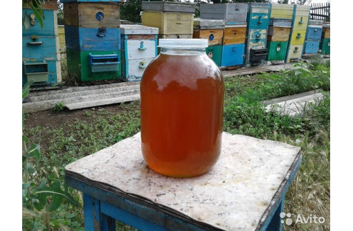 Продам мед - Пчеловодство в Севастополе